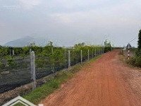 Kẹt Tiền Bán Nhanh Miếng Đất 1000M2 Gái 390 Triệu Tại Suối Đá, Dmc , Shr