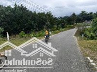 Bán Đất Mặt Tiền Khánh Hiệp Quy Hoạch Toàn Bộ Thổ Cư,Diện Tích1165M2, Giá 750 Tr