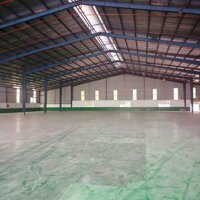 CHO THUÊ NHÀ XƯỞNG LONG NGUYÊN – BÀU BÀNG, BÌNH DƯƠNG | 4.500M² ĐẤT – XƯỞNG 3.200M² | GIÁ CHỈ 150 TRIỆU/THÁNG