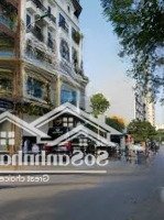 Mặt Phố Đặng Xuân Bảng Diện Tích: 78Mx5T Kinh Doanh Sầm Uất-Vỉa Hè 5 Mét - Giá Bán 24.8 Tỷ