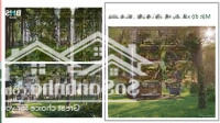 Biệt Thự Rừng Thông Intercon Vận Hành Cách Hà Nội 45'' Diện Tích 300M2 Xây Hoàn Thiện Ck Mua Sớm 9%
