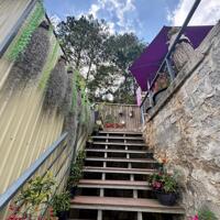 Cho thuê homestay đang kinh doanh tại Đặng Thái Thân, Phường 3, Đà Lạt