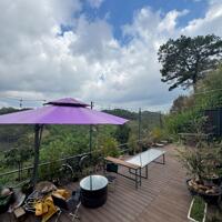 Cho thuê homestay đang kinh doanh tại Đặng Thái Thân, Phường 3, Đà Lạt