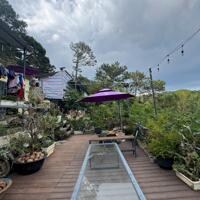 Cho thuê homestay đang kinh doanh tại Đặng Thái Thân, Phường 3, Đà Lạt
