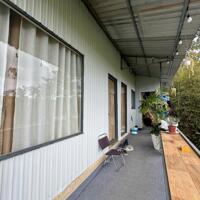 Cho thuê homestay đang kinh doanh tại Đặng Thái Thân, Phường 3, Đà Lạt