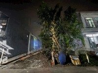 Bán Lô Đất 1/ Ngắn 50M . Đường Đặng Thúc Vịnh . Xã Thới Tam Thôn - Huyện Hốc Môn. Diện Tích : 5 X