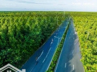 Bán Lô Đất Nền Sổ Đỏ Ngay Cổng Dự Án Vin Home Cần Giờ , Xây Được 5 Tầng , 10X24 Giá 85 Tr/M2