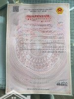 Bán Lô Đất 790M Phù Long, Cát Hải View Sông, Non Nước Hữu Tình - Giá Cực Tốt Đầu Tư