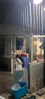 Bán Nhà Hoàng Bật P.15,Tân Bình Nhỉnh 4 Tỷ - 46M2 , Gần Chợ Tân Trụ