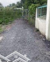 Cần Bán 192M2 Đất Trồng Cây. Dchh. Hxh, Gần Chợ Bà Điểm. 1/100M Phan Văn Đối. Giá Bán 2,5 Tỷ