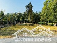 Bán Ngộp Lô Đất 333M2 Ở Khu Phố An Thới, Phường An Tịnh, Trảng Bàng, Tây Ninh - Giá Bán 650 Triệu
