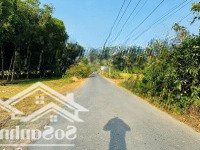 Bán Ngộp Lô Đất 333M2 Ở Khu Phố An Thới, Phường An Tịnh, Trảng Bàng, Tây Ninh - Giá Bán 650 Triệu