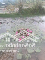 Bán Gấp Mảnh Đất Diện Tích Sử Dụng 2100M2, View Hồ, Tay Chạm Nước, Tại Phú Vinh, Tân Lạc, Hòa Bình