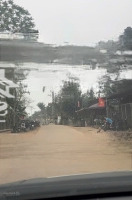 Bán Gấp Mảnh Đất Diện Tích Sử Dụng 2100M2, View Hồ, Tay Chạm Nước, Tại Phú Vinh, Tân Lạc, Hòa Bình