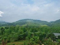 Chính Chủ Bán Biệt Thự 3700M2 Xã Yên Trung, Đường 2 Oto Tránh Trục Chính 446 Giá Bán 18Tỷ 0916393862