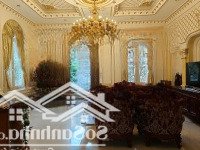 Bán Biệt Thự Cổ Điển Đường Bành Văn Trân|11X34M|68 Tỷ