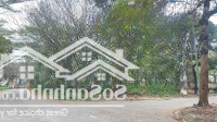 Siêu Phẩm Lô Góc Hai Mặt Tiền Tại Tiền Phong
