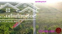 Đất Châu Pha 1000M2 Tc 100M2, Có Sẵn Hồ Làm Nhà Vườn, View Núi