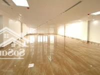 Cần Cho Thuê Mp Láng Ha Đống Đa 120M X 7T X Mt5M Thông Sàn Tm Giữa Đh Đầy Đủ Giá 75 Triệu