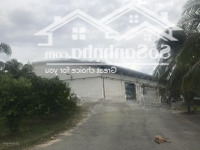 - Cho Thuê Nhà Kho 1600M2 Và 550M Tại Hà Huy Giáp Q12 - Xe 10Tan Lọt Kho- Cont40Fe Đi Đêm