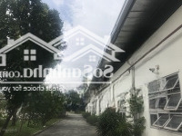 - Cho Thuê Nhà Kho 1600M2 Và 550M Tại Hà Huy Giáp Q12 - Xe 10Tan Lọt Kho- Cont40Fe Đi Đêm