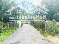 Bán Lô Góc Suối Tiên Full Thổ Cư