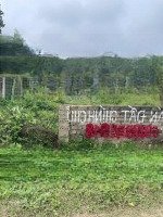 Đất Đẹp Giá Tốt - Cần Bán Nhanh Lô Đất Tại Xóm Hợp Thành, Xã Nam Thành, Huyện Yên Thành, Nghệ An