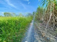 Bán Đất Đường Thống Nhất, Xã Phước Khánh, Nhơn Trạch