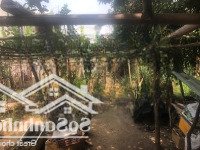 Bán Đất Tại Bình Hòa - Cây Dương, 950 Triệu, 120M2, Vĩnh Cửu, Đồng Nai Chỉ Với Giá Cực Chất