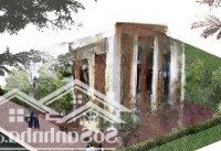 Nhượng Nền Long Hậu Thái Sơn T&T