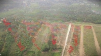 Đất Tu Vũ Thanh Thuỷ Phú Thọ Đường Bê Tông Thông, Rộng 6M Giáp Cánh Đồng Gần Các Tiện Ích Công Cộng