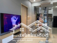 Thiện Chí Cho Thuê Căn 1 Phòng Ngủfull Nt Cao Cấp - The Sun Avenue Quận 2