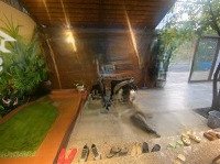 Bán Biệt Thự Sân Vườn - Tại Vĩnh Hoà - Nha Trang - Khánh Hoà - Giá Bán 9,8Tỷ