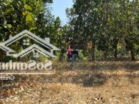 Cần Bán Đất Hồ Trị An Định Quán, Khu Đông Dân, Đường Ôtô, Diện Tích 1.257M2, Giá Bán 2.5 Tỷ