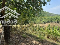 Cần Bán Đất Hồ Trị An Định Quán, Khu Đông Dân, Đường Ôtô, Diện Tích 1.257M2, Giá Bán 2.5 Tỷ