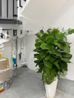 Bán Nhà 1 Triệuệt2Lầu Có Sân Thượng- 5Pn- Hẻm Xe Hơi Sát Hoàng Diệu 2 - 8Tỷ6