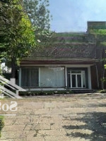 Cho Thuê Villa Sân Vườn 1177M² Trường Thọ, Thủ Đức, Phù Hợp Ở, Văn Phòng, Homestay