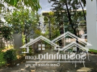 Cho Thuê Villa Sân Vườn 1177M² Trường Thọ, Thủ Đức, Phù Hợp Ở, Văn Phòng, Homestay