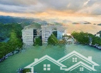 Sốc 1,55 Tỷ Căn Hộ Flamingo Cát Bà View Núi Tầng 15 Lợi Nhuận Ngay