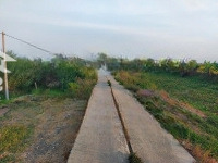 Bán Nr View Đẹp, 310M2 Tại Đường 826C, Đông Thạnh, Cần Giuộc, Long An