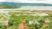 Bán Đất Kkt Vân Phong Diện Tích 7973M2 Lưng Tựa Núi Mặt Quay Ra Vịnh Nha Phu Đường Bê Tông 8M