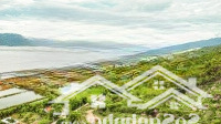 Bán Đất Kkt Vân Phong Diện Tích 7973M2 Lưng Tựa Núi Mặt Quay Ra Vịnh Nha Phu Đường Bê Tông 8M
