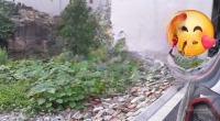 Bán Lô Đất 51 M2, Hàng Xóm Vin, Ngõ Ô Tô