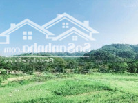 Bán Đất Gấp Tại Thị Trấn Lương Sơn, Lương Sơn, Hòa Bình 850 Nghìn / M2, 19000 M2 Giá Tốt Nhất
