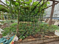 Bán Gấp Lô Đất Giá Rẻ Nhất Khu Vực Lê Xá , Chỉ 4,Xty( X Tiểu Học) Lô Đất 57M .