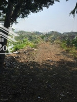 Bán Đất Giá Rẻ Tại Xã Bình Hưng Bình Chánh 5000M2 Gần Mizuki