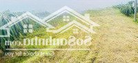 Bán Đất 1548M2 Cln, 420 Triệu Tại Thôn Phú Nhang, Hàm Hiệp, Hàm Thuận Bắc, Bình Thuận Hàng Hot