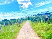 Bán Đất 1548M2 Cln, 420 Triệu Tại Thôn Phú Nhang, Hàm Hiệp, Hàm Thuận Bắc, Bình Thuận Hàng Hot