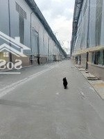 Cho Thuê Nhà Xưởng Mới Xây Dựng 5500M2 Và 11.000M2 Trong Kcn Đức Hòa, Long An