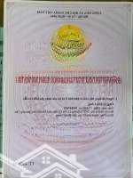 Đất Sát Ngay Khu Hành Chính Thành Phố Dĩ An, Sắp Sáp Nhập Vào Tphcm. Dự Án Mở Đường 17M